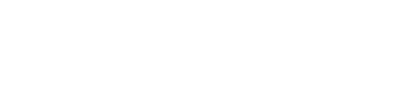 SEvision Logo